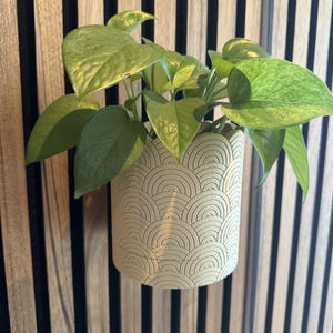Op de afbeelding: Een kamerplant met levendige groene bladeren in een beige, cilindervormige pot. De pot heeft een herhalend halve cirkelpatroon. De plant is gemonteerd op een houten muur met verticale zwarte en bruine strepen.