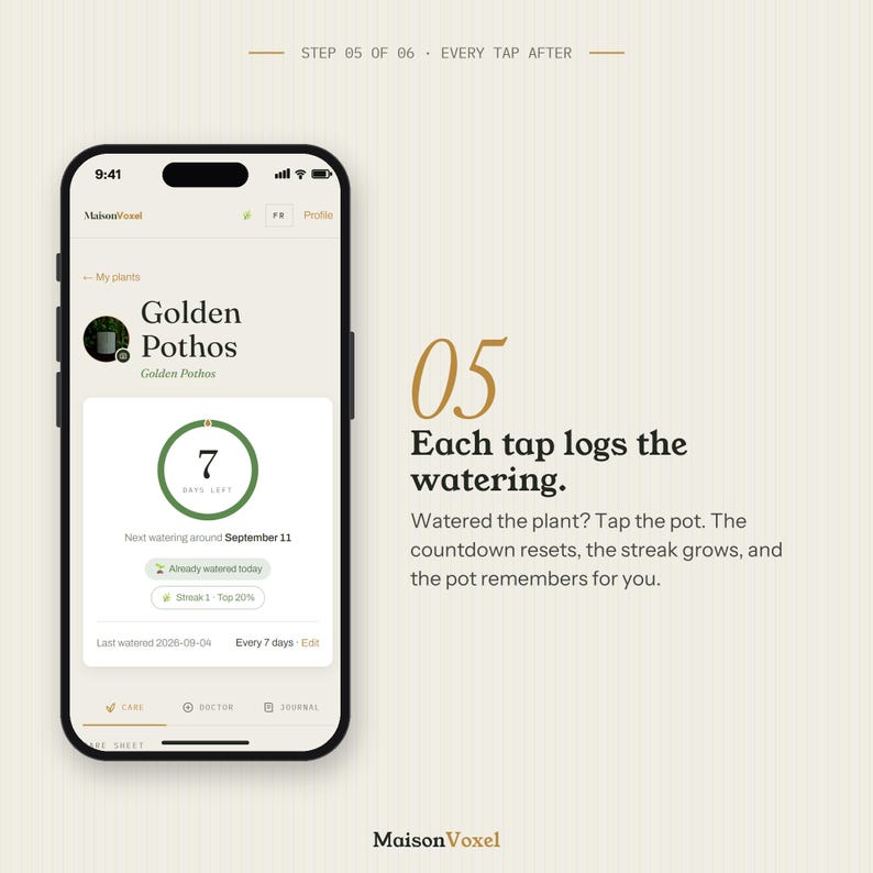 K&ouml;nnte beinhalten: Ein Smartphone-Bildschirm zeigt die Benutzeroberfl&auml;che der MaisonVoxel-App f&uuml;r eine Golden Pothos-Pflanze. Der Bildschirm zeigt einen Countdown mit 7 verbleibenden Tagen, ein Gie&szlig;protokoll und den Text: 05 Each tap logs the watering. Watered the plant? Tap the pot.