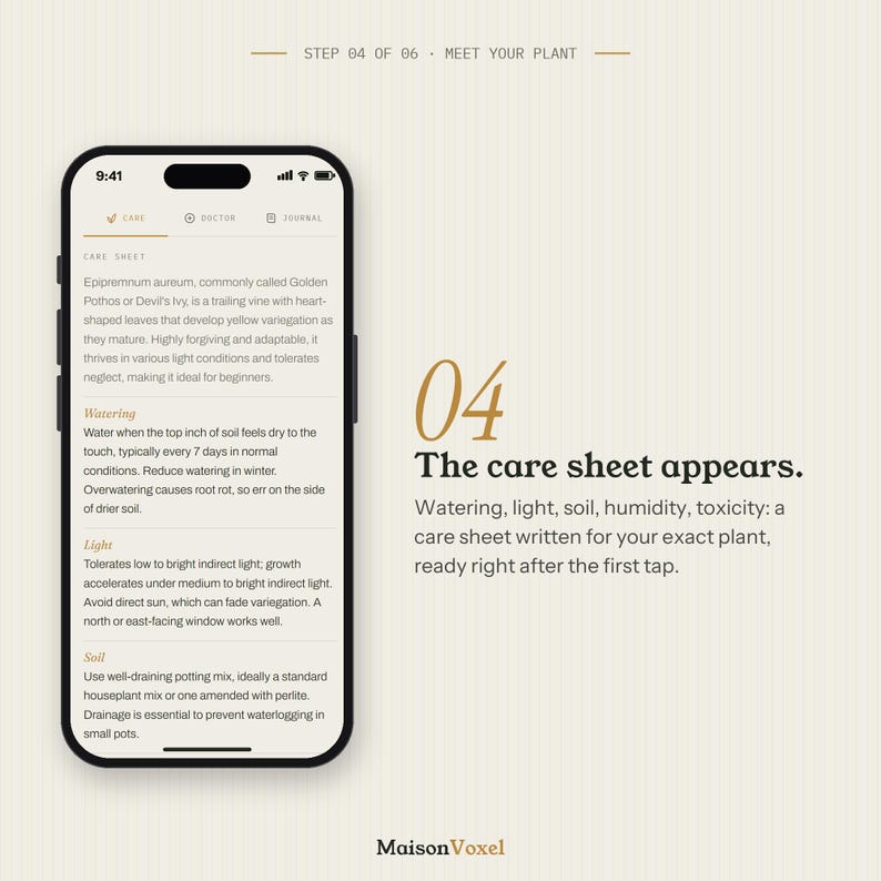 K&ouml;nnte beinhalten: Ein Smartphone zeigt eine App-Oberfl&auml;che zur Pflanzenpflege mit Textanweisungen f&uuml;r Golden Pothos, einschlie&szlig;lich Gie&szlig;en, Licht und Boden. Rechts steht der Text 04 The care sheet appears mit einer kurzen Beschreibung.
