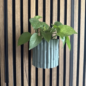 Puede incluir: Una maceta verde claro, estilo bambú, llena de una planta verde con hojas. La maceta está montada en una pared de madera con rayas verticales negras y marrones. La planta tiene hojas grandes en forma de corazón.