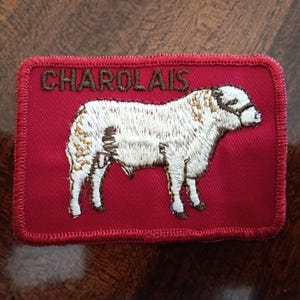 May include: Embroidered patch featuring a white Charolais bull on a red background. The word "CHAROLAIS" is stitched in brown above the bull. The patch has a red border and is likely for clothing or accessories.