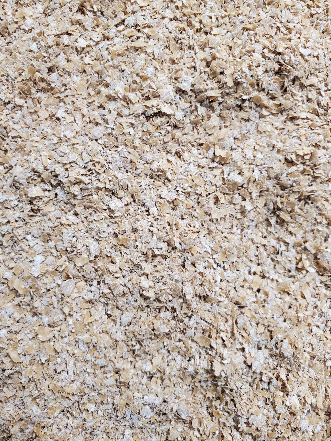 Wheat Bran 5lbs Bedding & Feed for Mealworms and Superworms Etsy