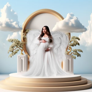 Fondos digitales, superposiciones de fondo de maternidad, superposiciones de fondo de estudio, texturas de bellas artes, superposiciones de Photoshop