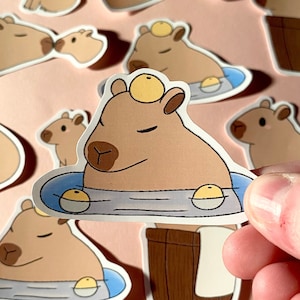 Capybara Aufkleber Set