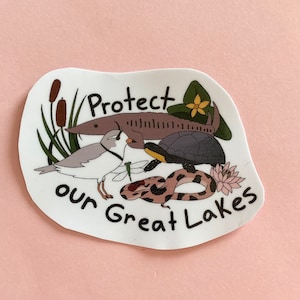 Op de afbeelding: Witte sticker met een bruine, groene en gele illustratie van een steur, een schildpad, een vogel, een slang en een waterlelie. De tekst "Bescherm onze Grote Meren" staat in het zwart.