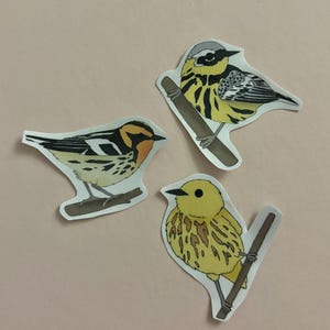Puede incluir: Tres pegatinas troqueladas con ilustraciones de pájaros pequeños posados en ramas. Un pájaro tiene marcas amarillas y negras, otro tiene la cabeza gris con rayas amarillas y negras, y el tercero es principalmente amarillo con rayas marrones.
