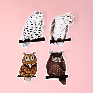 Stickers hiboux : harfang des neiges, effraie des clochers, hibou grand duc, chouette des cris