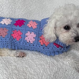May include: A small white dog wearing a blue crochet sweater with pink flower accents. The sweater has a patchwork design with various shades of pink flowers. The dog is lying on a white, textured surface.