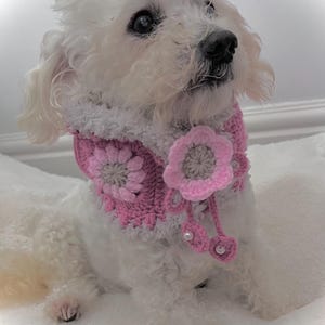May include: A small white dog wearing a pink and grey crocheted collar with flower accents and pearl beads. The collar is handmade and adds a touch of charm. The dog is lying on a white surface.