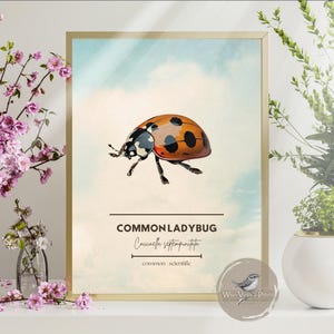 Insect Wall Art Set of 8 | Printable Bug Art | Digital Natural History Illustrations | Vintage Insect Decor | Common Bugs Poster Collection