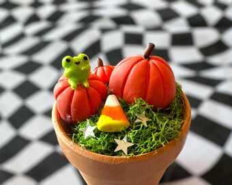 Pot friends autumn