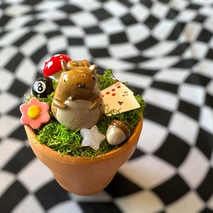 May include: A small ceramic squirrel figurine sitting in a terracotta pot with green moss, a red mushroom, a black and white 8 ball, a pink flower, a white star, and playing cards.