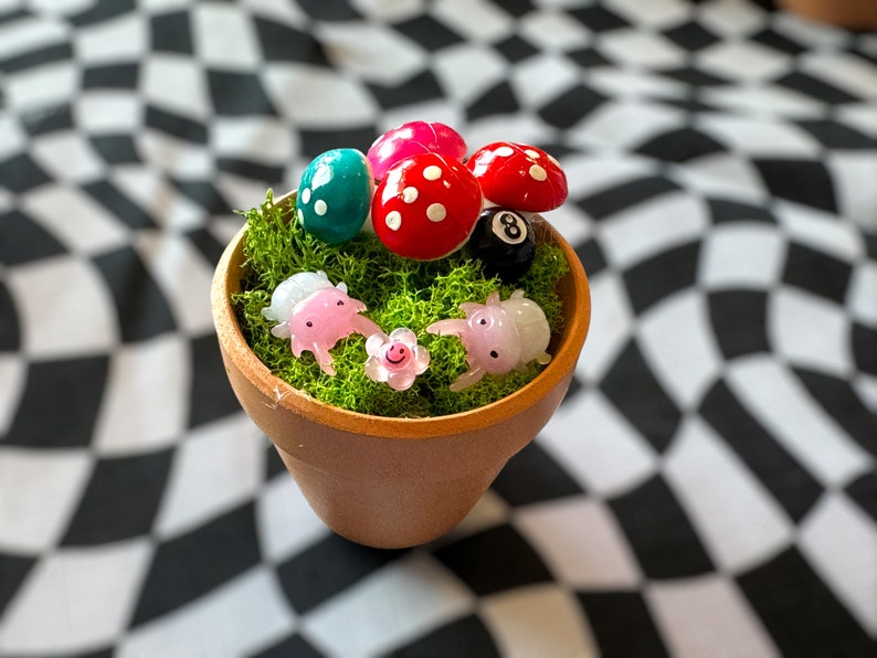 Pot Friends, Desk Friends Every Creature is Unique 1/1 Etsy