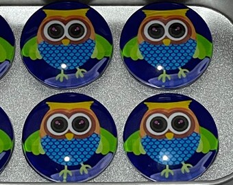 Owl Gifts for Women | Owl Gifts for Men | Owl Magnets | Owl Gifts for Teacher | Owl Gift for Her | Owl Gifts for Men | Cute Owl Gift