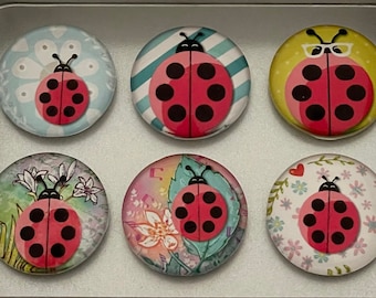 Ladybug Magnets | Ladybug Gift | Ladybug Decor | Ladybug Theme Magnets | Ladybug Lover | Cute Ladybug | Ladybug Kitchen | Fridge Magnets