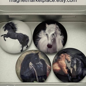 Horse Magnets | Horse Lover Gift | Horse Gifts for Women | Horse Gifts for Men | Band of Horses | Wild Horses | Housewarming Gift Idea