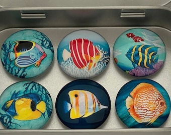 Fish Magnets | Tropical Fish Magnets | Saltwater Fish Magnets | Fish Gift Idea | Fridge Magnet | Fish Decor | Fish Gift | Tropical Fish Gift