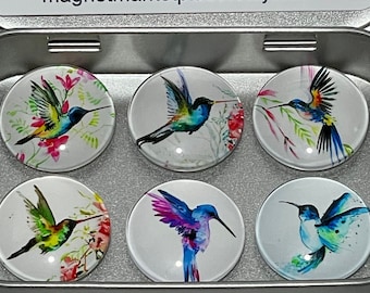 Hummingbird Gift | Hummingbird Magnets | Homing Bird Gift | Bird Gifts | Birding Gifts | Bird Lover Gifts | Bird Lover Gift Idea