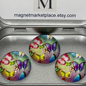 Aimants papillon | Cadeau nature | Art papillon | Aimant fait main | Ensemble d&#39;aimants pour réfrigérateur | Cadeau pour amoureux des papillons | Papillon coloré