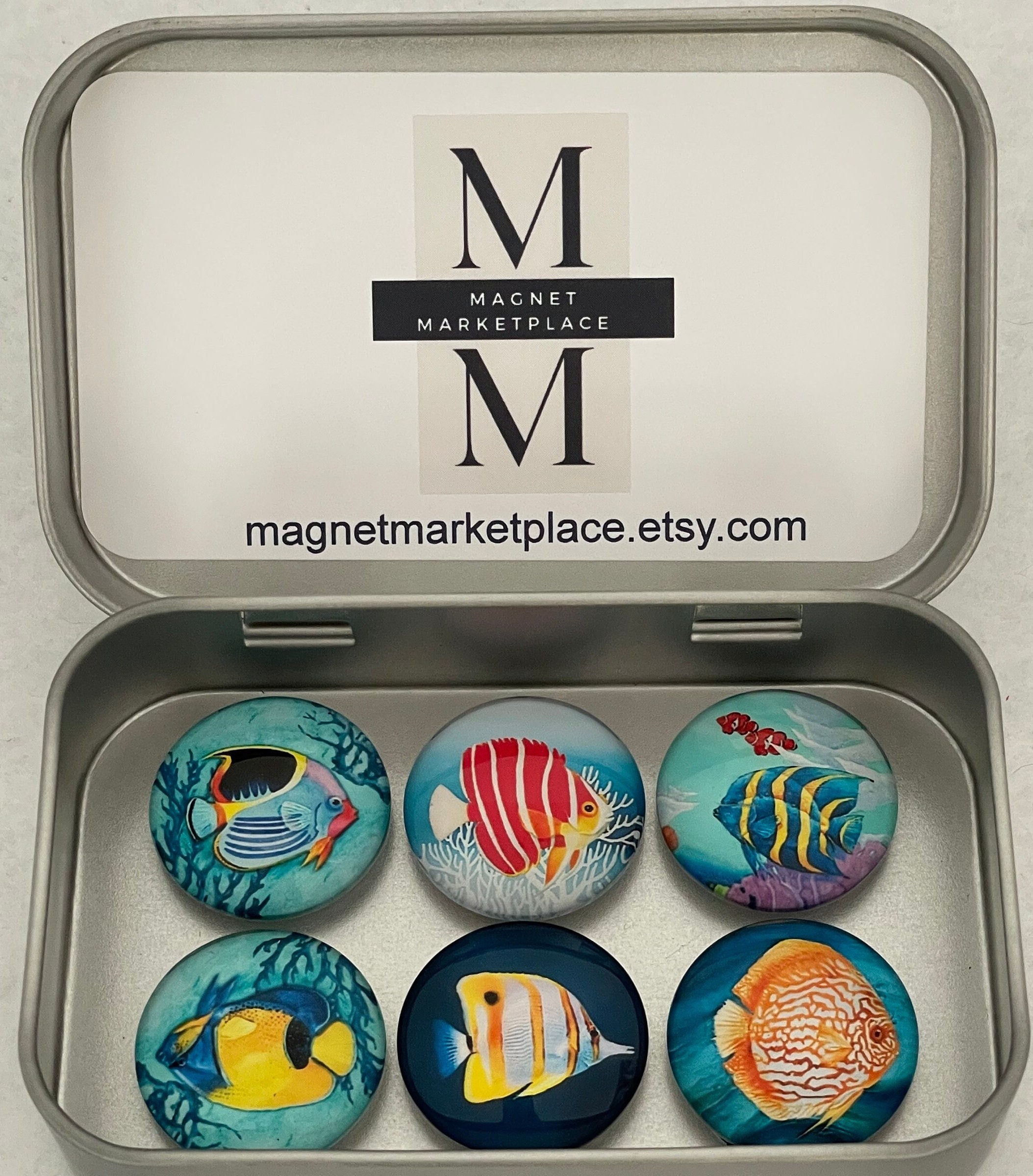 Fish Magnets | Tropical Fish Magnets | Saltwater Fish Magnets | Fish ...