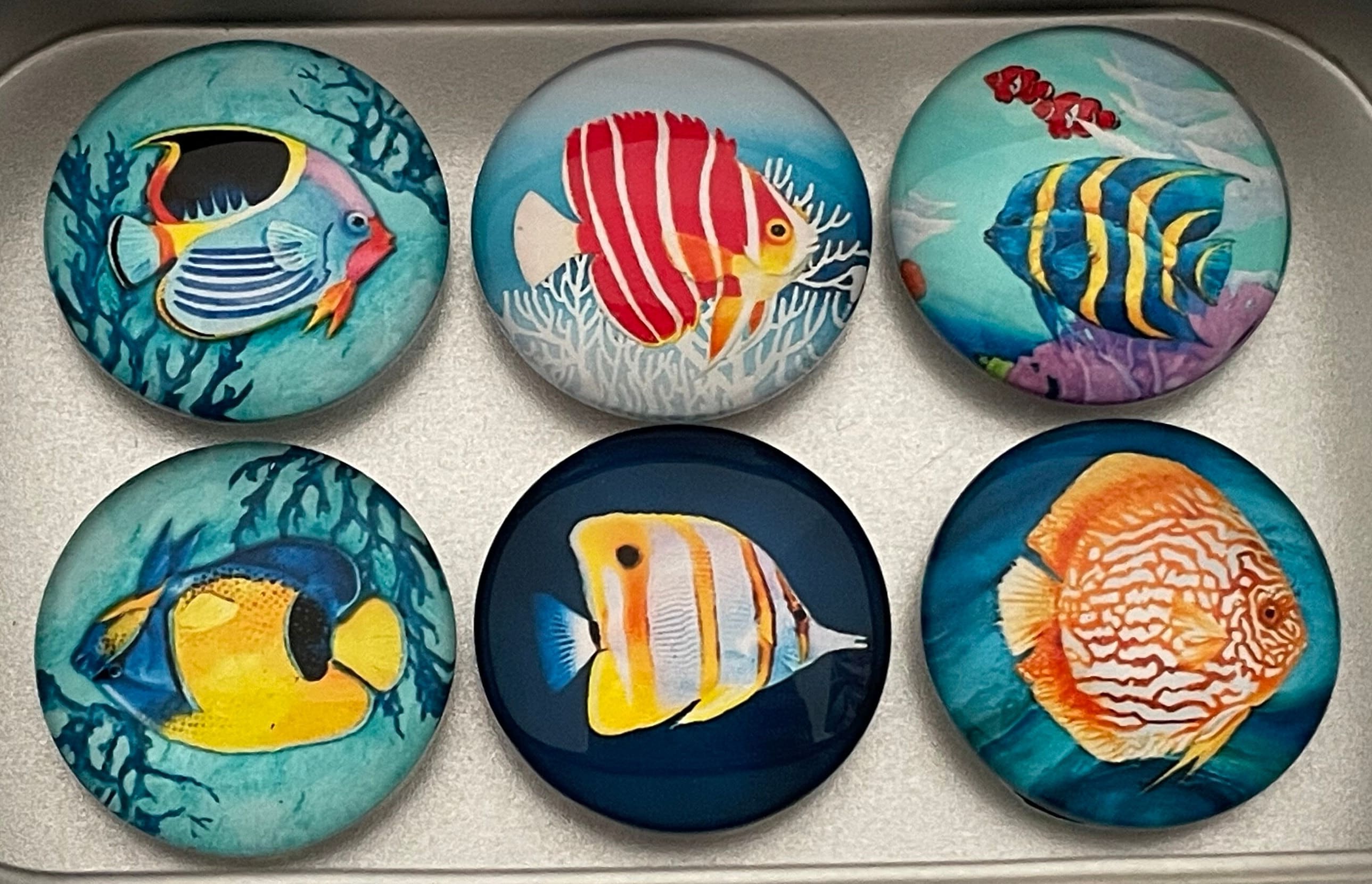 Fish Magnets | Tropical Fish Magnets | Saltwater Fish Magnets | Fish ...