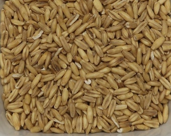 Organic Grain Oat Groats, Whole (Avena Sativa L.)