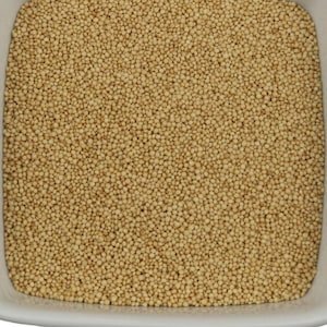 Könnte beinhalten: Eine weiße Schüssel gefüllt mit ungekochten Amaranthkörnern. Die Körner sind klein und rund und haben eine hellbeige Farbe.