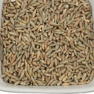 Organic Rye Berries, Whole Wheat Grain (Secale cereale L.)