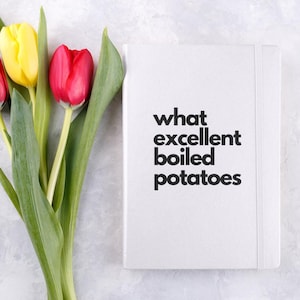 Diario de Jane Austen Cuaderno de notas ¡Qué patatas hervidas tan buenas! Sr. Collins Elizabeth Bennet Sr. Darcy Orgullo y prejuicio Amante de los libros divertidos Película