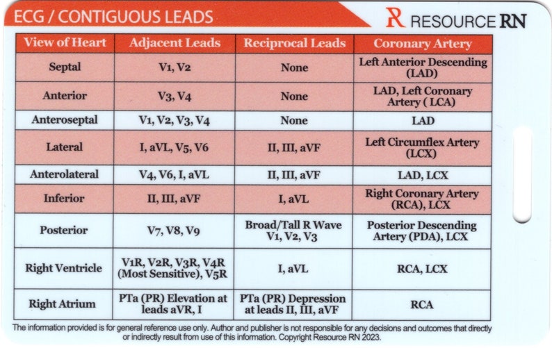 EKG STEMI Reference Tool VERTICAL Badge Card Pocket Guide - Etsy