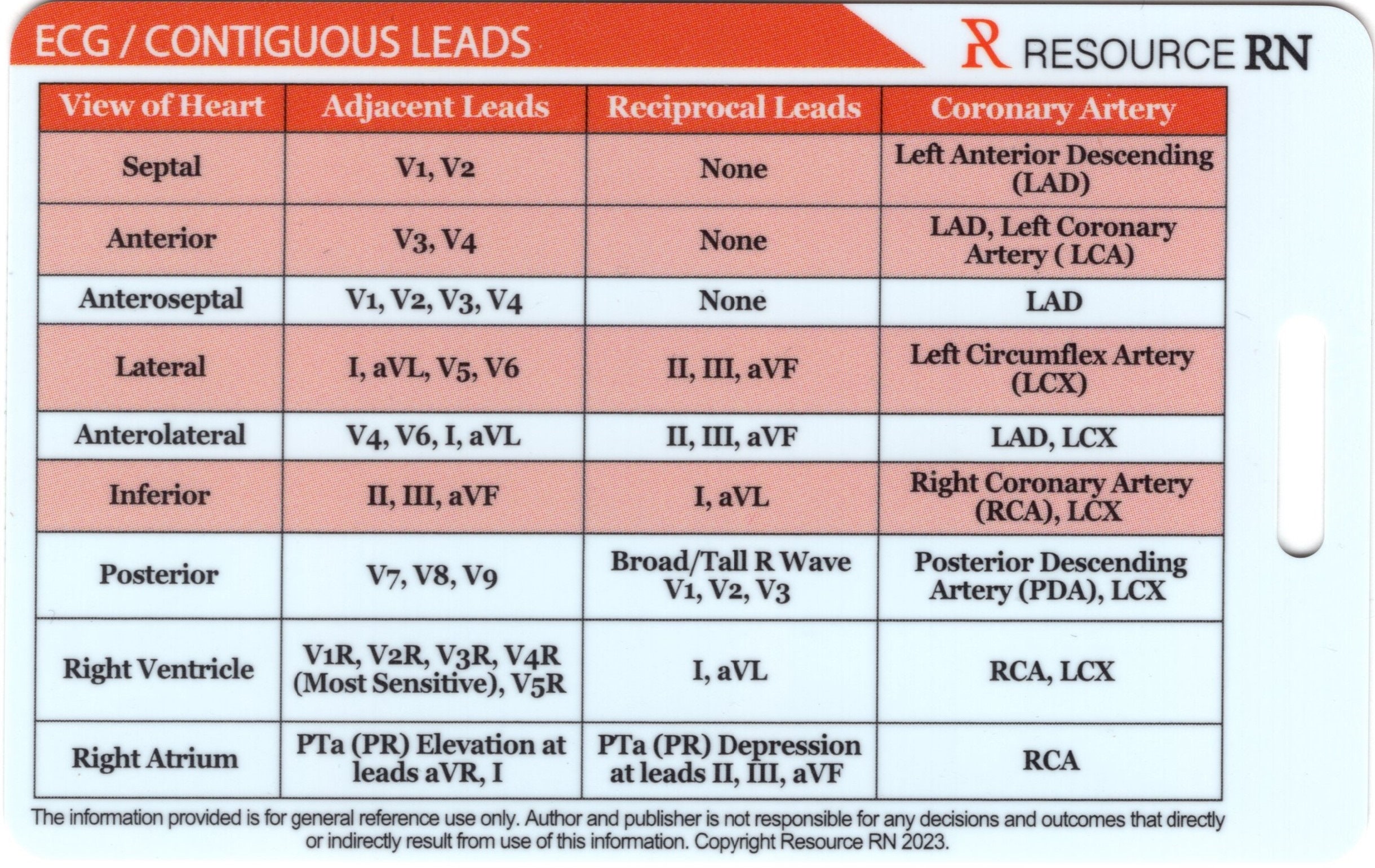 EKG STEMI Reference Tool VERTICAL Badge Card Pocket Guide - Etsy