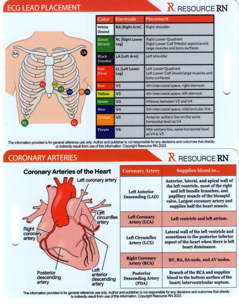 Cardiac Nursing Badge Card Set: ECG Interpretation & STEMI Tool - Etsy