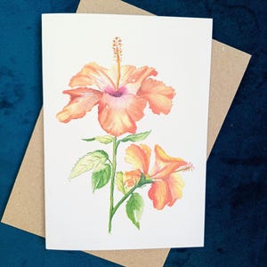 Orange Hibiskus botanische Aquarell Grußkarte. Original Aquarell gemaltes Design - Botanische - Gedruckte Karte -Innen blanko.