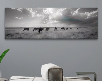 Panoramic Wild Horse Black And White Canvas Wall Art