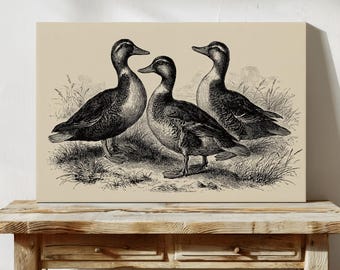 Vintage Duck Illustration, Black and White Farmhouse Bird Art