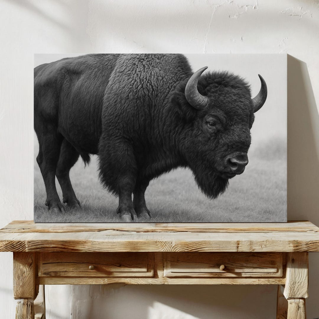 Majestic American Bison Black and White Canvas Wall Art – Rustic ...