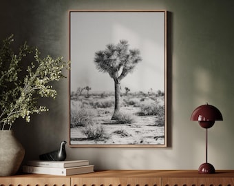 Joshua Tree Desert | Black and White Southwestern Wall Art