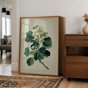 Weiß blühender Zweig mit sattgrünen Blättern