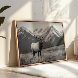Majestic Elk | Black and White Mountain Wildlife Wall Art