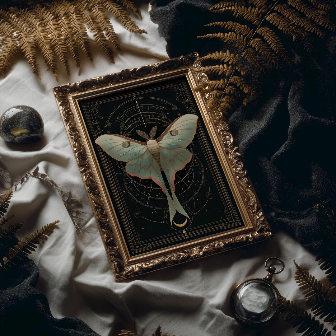 Luna Moth Celestial Art Nouveau Night Illustration - Etsy