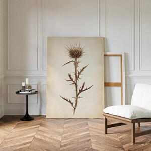 May include: A large botanical print of a thistle plant in sepia tones. The artwork is displayed on a large canvas, leaning against a white wall. A wooden chair with a white cushion and a small black side table are in the room.