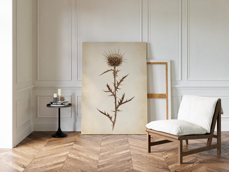 May include: A large botanical print of a thistle plant in sepia tones. The artwork is displayed on a large canvas, leaning against a white wall. A wooden chair with a white cushion and a small black side table are in the room.