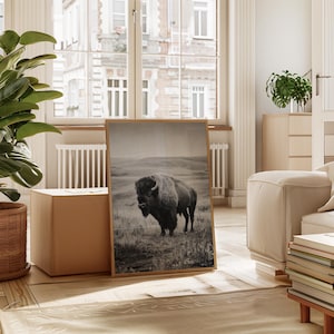 Lone Bison | Black and White Wildlife Wall Art