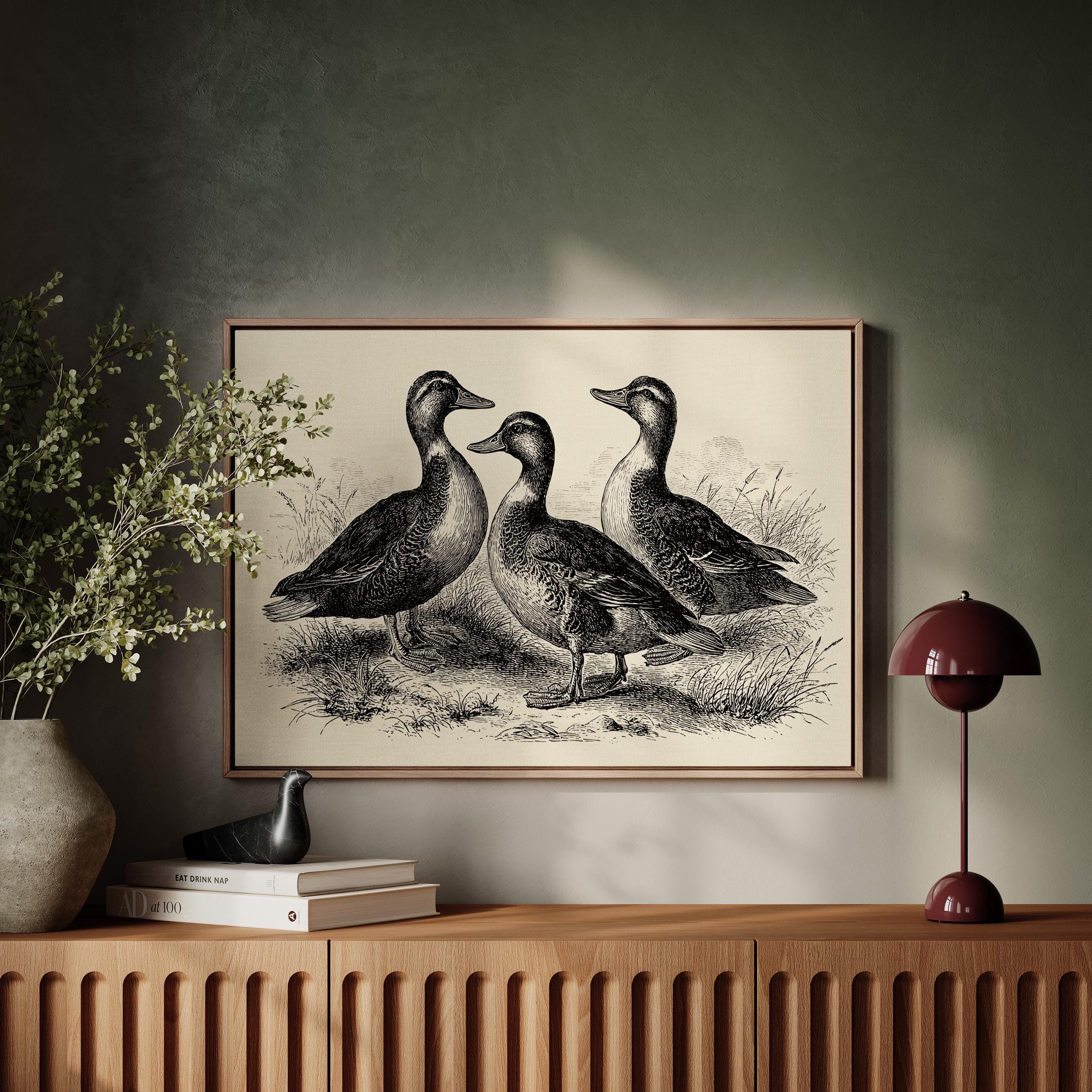Common Duck イラスト 木製ボード　絵 Common Duck イラスト 木製ボード 絵 Wood Duck – Cory James Fine Art