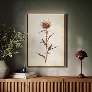 May include: A framed botanical print of a thistle plant. The artwork features a detailed illustration of the plant's spiky head and stem, rendered in shades of brown and beige. The print is displayed in a wooden frame, adding a touch of rustic elegance to the decor.