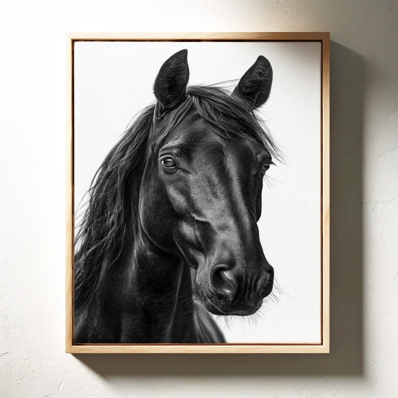 May include: Black and white framed art print of a horse's head. The horse has a sleek, dark coat and flowing mane. The artwork is set against a white background, and framed in a natural wood tone.