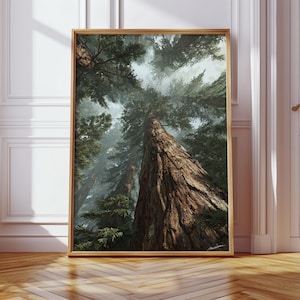 Lienzo decorativo de un majestuoso bosque de secuoyas / Árboles imponentes en un desierto brumoso / Impresión de paisaje natural para un hogar rústico, bohemio y moderno