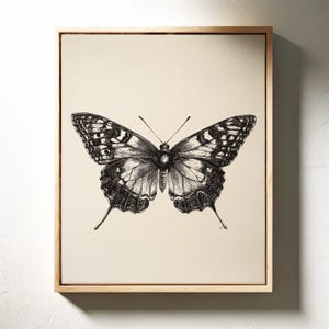 Pu&ograve; includere: Un'illustrazione in bianco e nero di una farfalla con intricati motivi sulle ali su uno sfondo color crema.