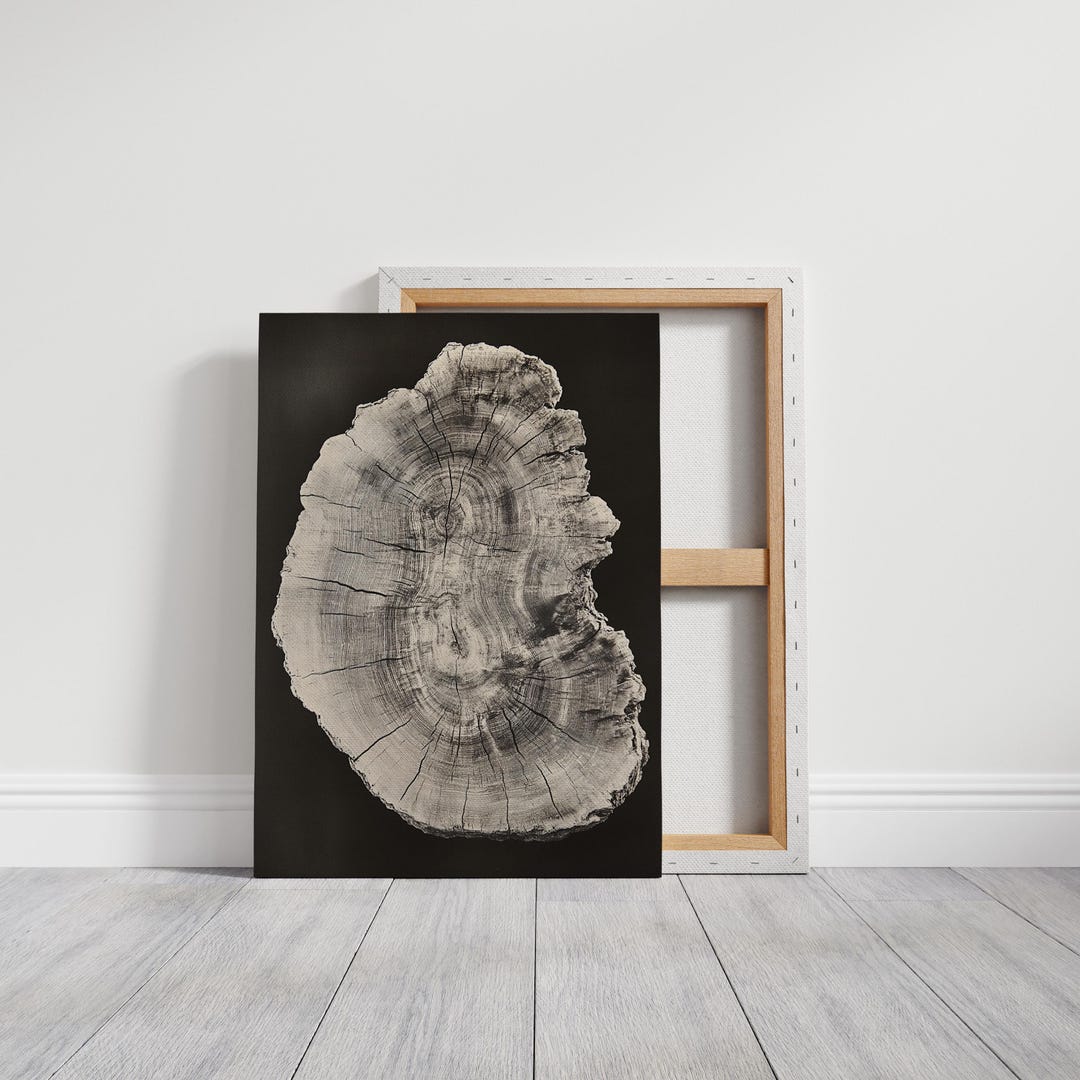 Vintage Tree Ring Wall Art Black & White Organic Print, Rustic Nature