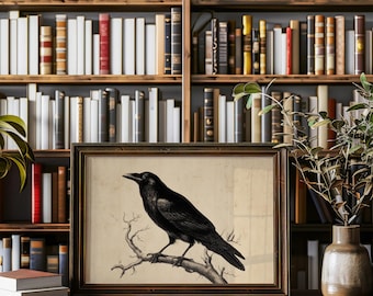 Vintage Raven Illustration on Branch
